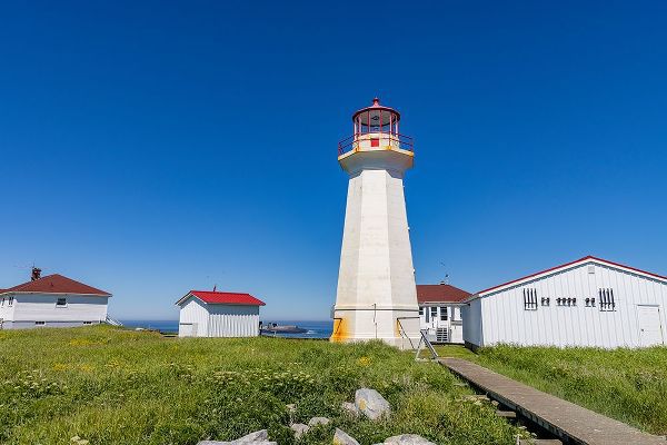 Haney, Chuck 아티스트의 Lighthouse at Machias Seal Island-Maine-USA작품입니다.